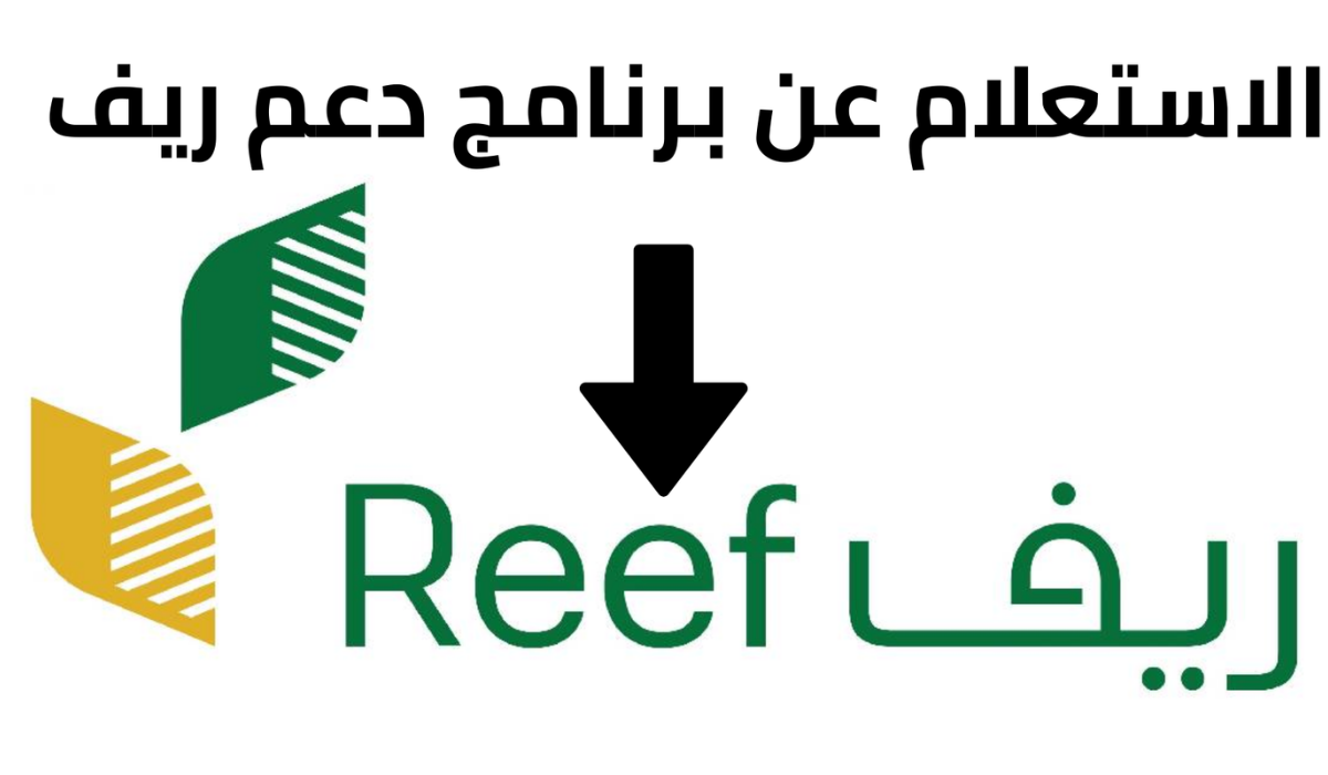 متى ينزل دعم ريف؟