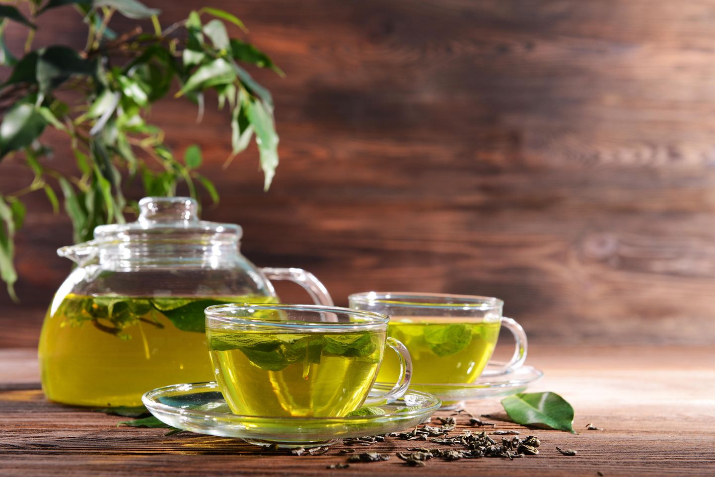 الشاي الأخضر