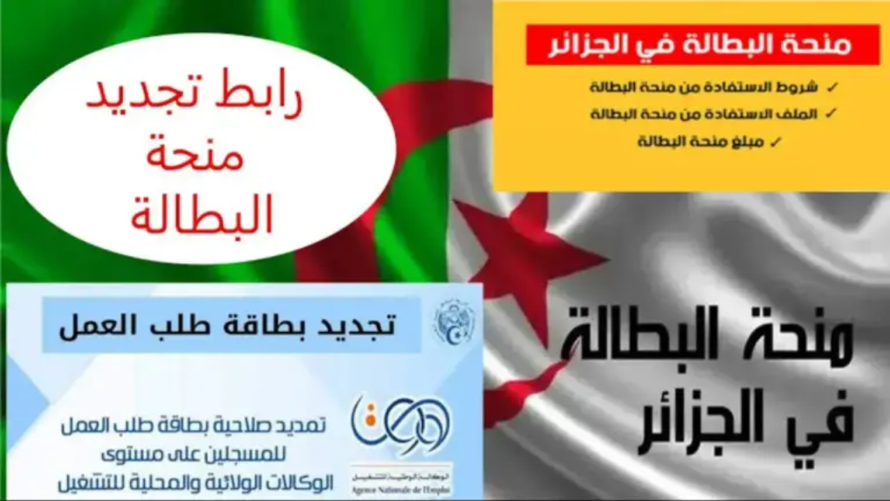 تجديد طلب العمل في الجزائر 2025