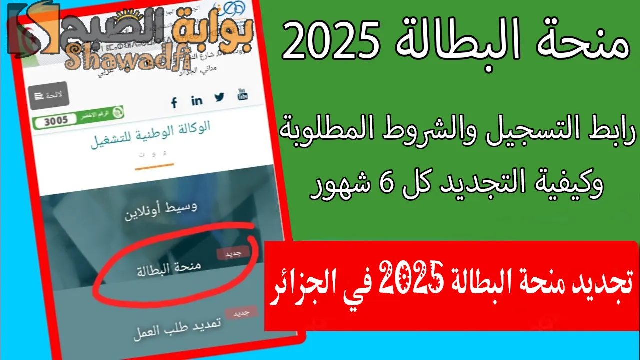 تجديد منحة البطالة 2025 في الجزائر.. رابط التسجيل والشروط المطلوبة وكيفية التجديد كل 6 شهور
