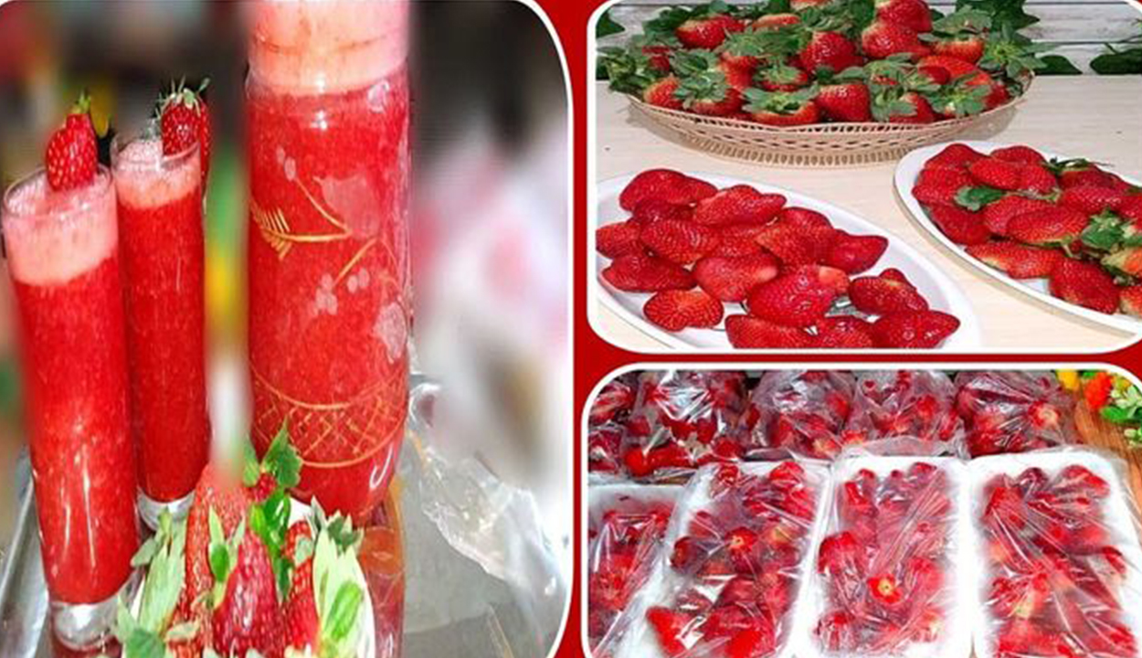 تخزين الفراولة قبل رمضان