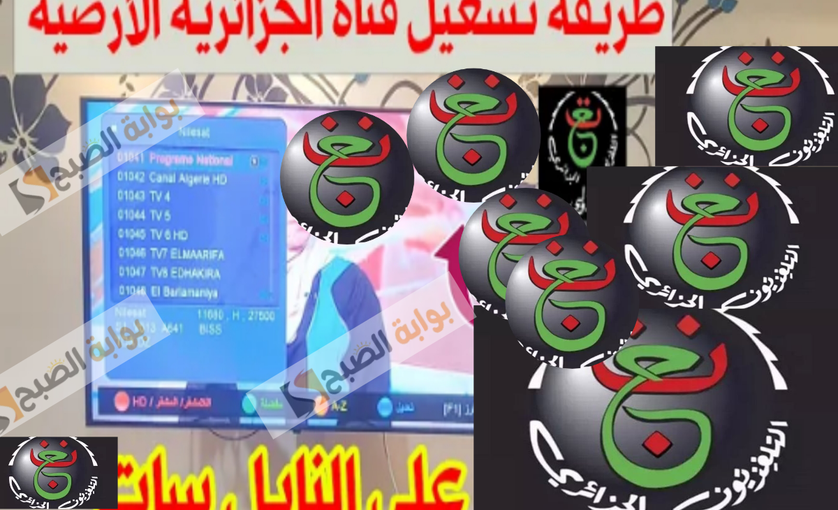 تردد قناة الجزائرية الأرضية 2025 1