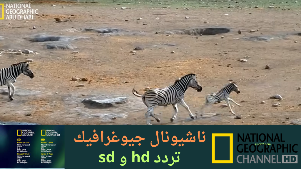 تردد قناة ناشيونال جيوغرافيك نايل سات hd