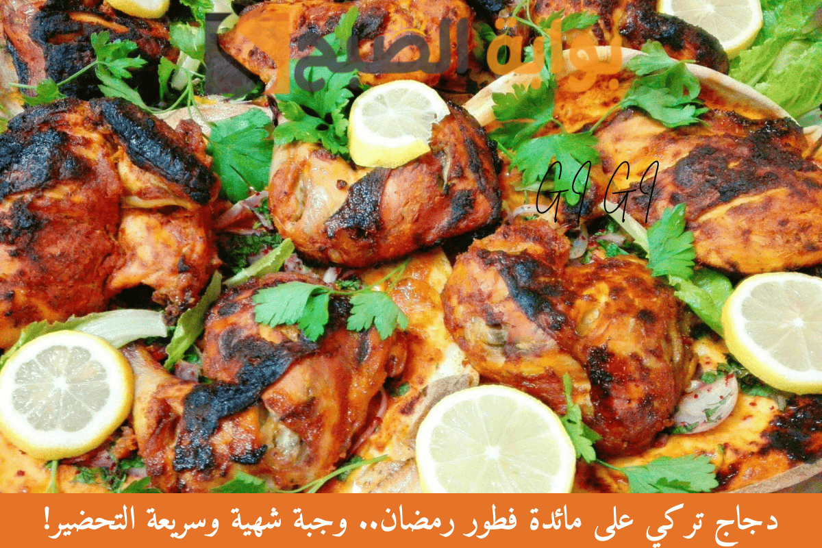 دجاج تركي