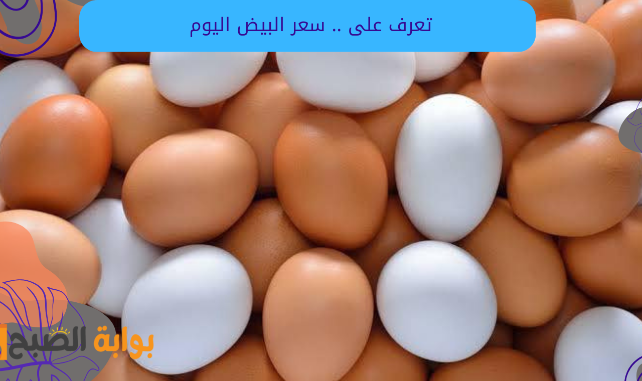 سعر البيض اليوم