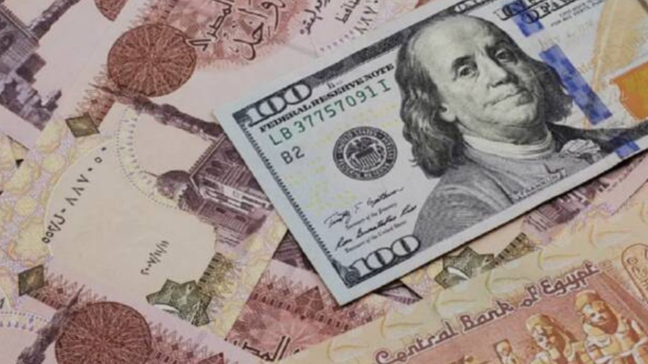 سعر الدولار اليوم في البنوك