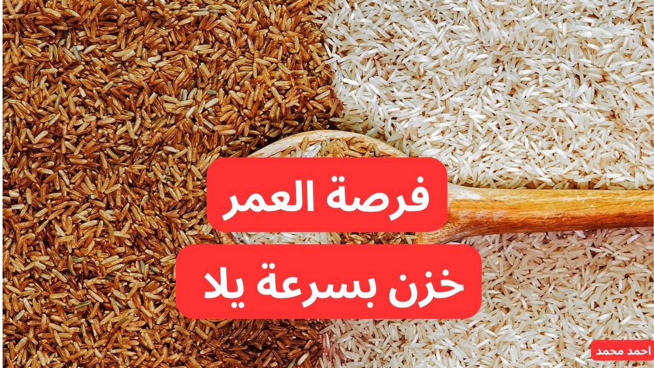 سعر طن الأرز الشعير اليوم الأربعاء 29-1-2025 والأبيض