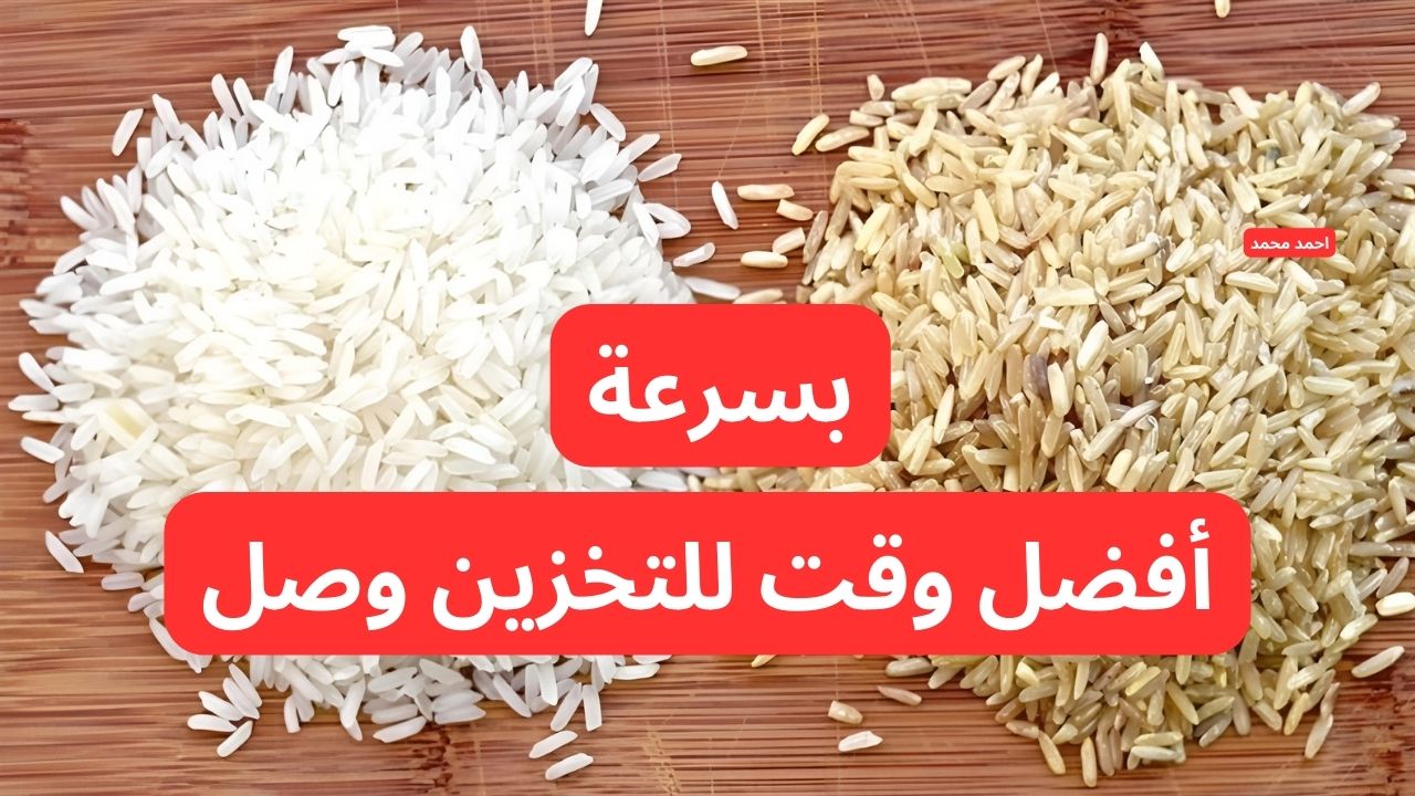 سعر طن الأرز الشعير اليوم الثلاثاء 28-1-2025 و أسعار الأرز الأبيض