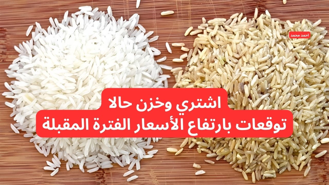 سعر طن الأرز الشعير اليوم الجمعة 31-1-2025 والأبيض