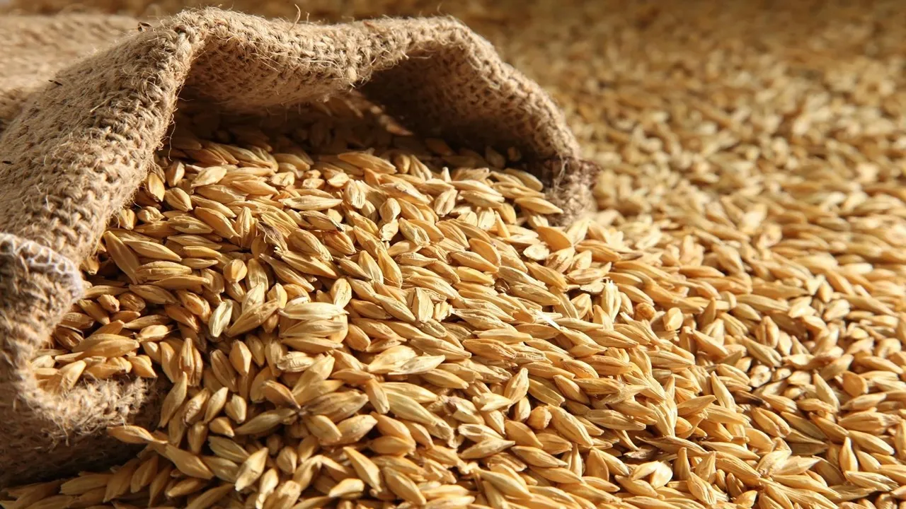 سعر طن الارز الشعير