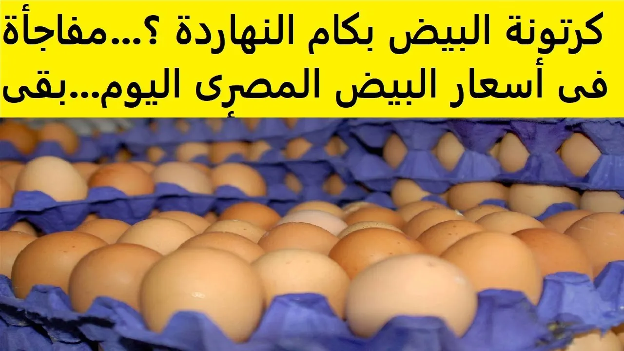 سعر كرتونة البيض اليوم