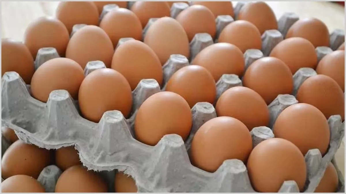سعر كرتونة البيض