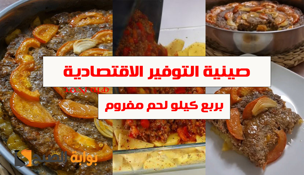 صينية التوفير الاقتصادية
