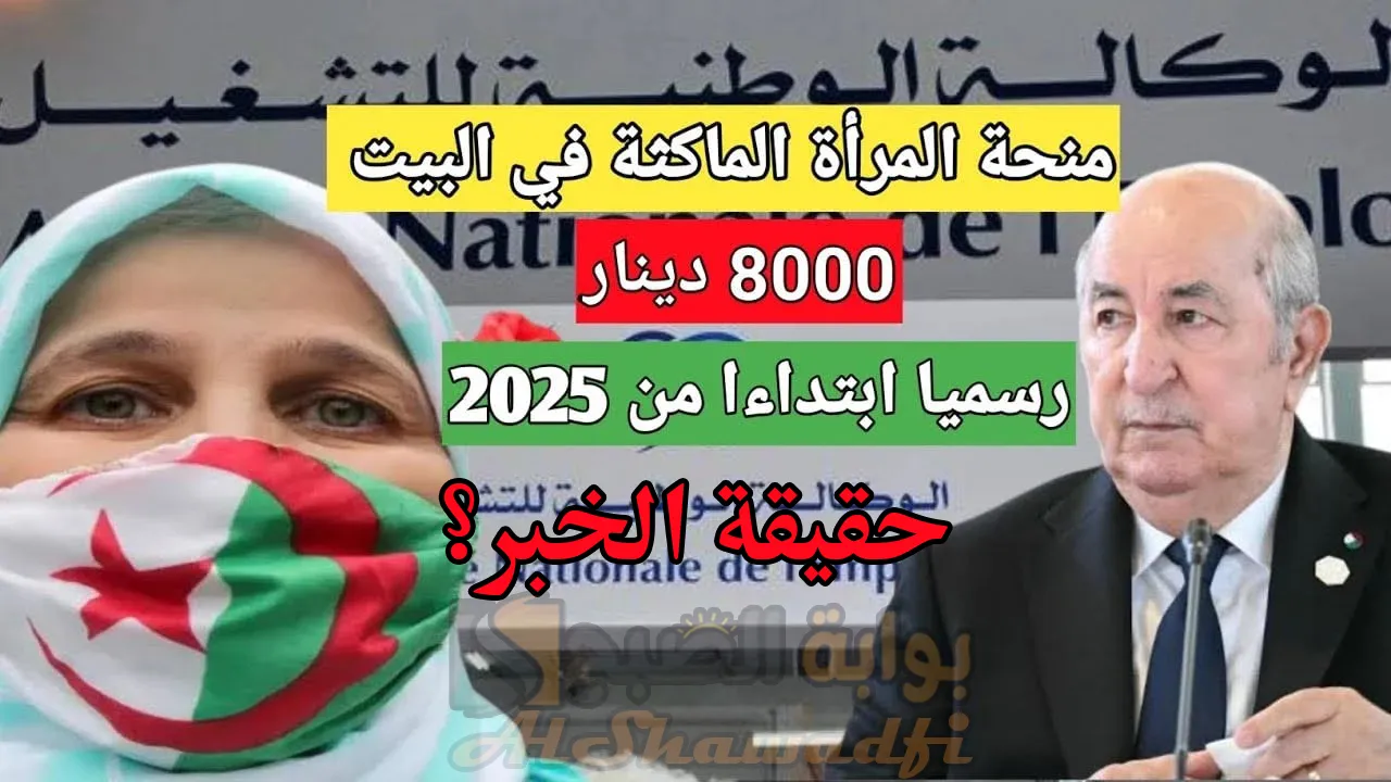 هل أصبحت 8000 دج؟.. لينك التسجيل في منحة المرأة الماكثة في البيت 2025 anem.dz والشروط المطلوبة