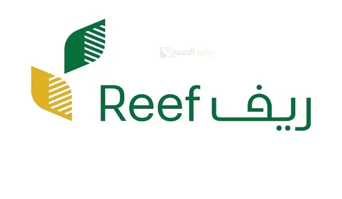 هل يمكن الاقتراض من برنامج ريف