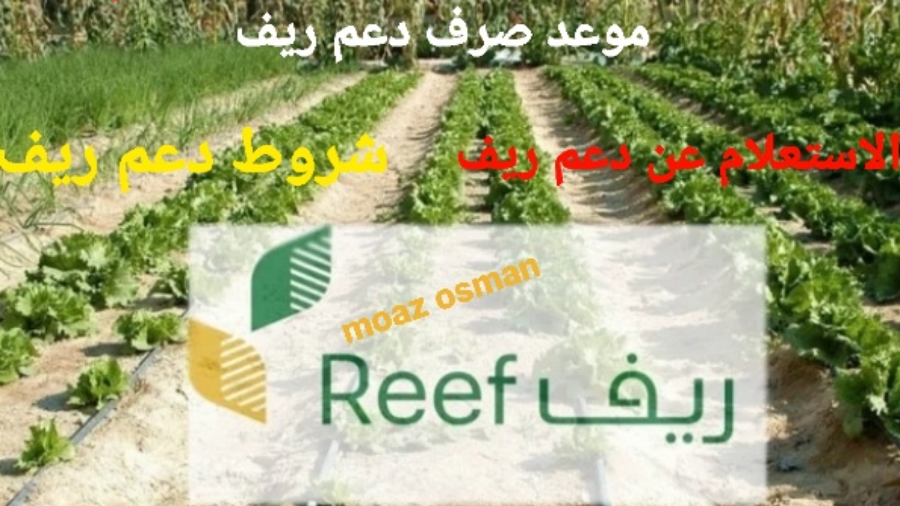 ٢٠٢٥٠١٠٣ ١٧٢١٢٥