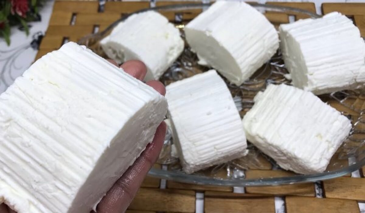 خطوات عمل الجبنة القريش