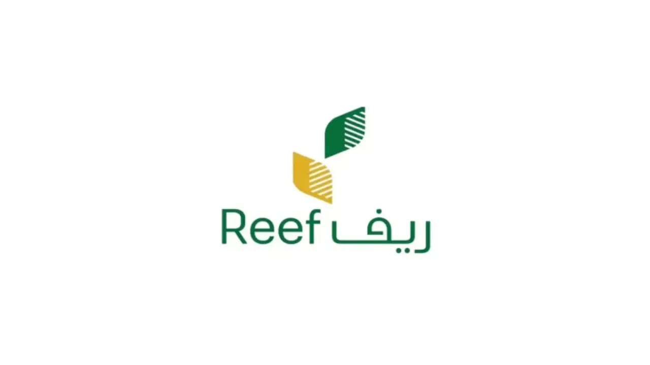 IMG 20250220 WA0034