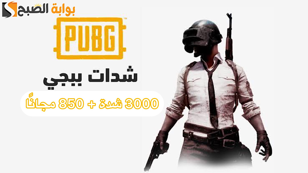 شحن شدات ببجي عن طريق الايدي