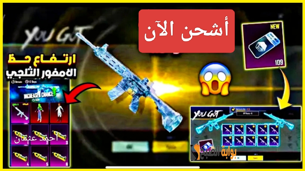 IMG ٢٠٢٥٠٢٠١ ٢١٠٤٣١