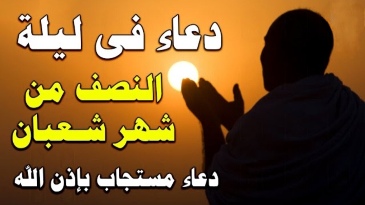 IMG ٢٠٢٥٠٢١٥ ٠٢١٧٤٤