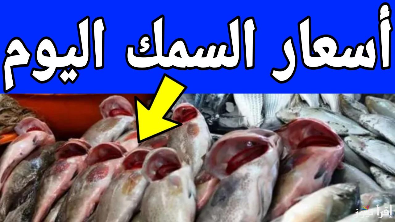 اسعار السمك اليوم