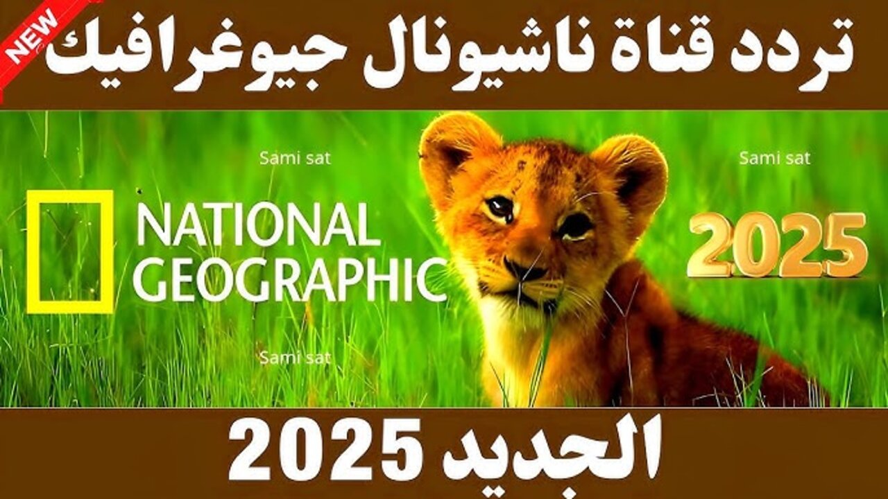 “بجــودة عــالية HD“ تردد قناة ناشيونال جيوغرافيك الجديد 2025 نايل وعربسات National Geographic