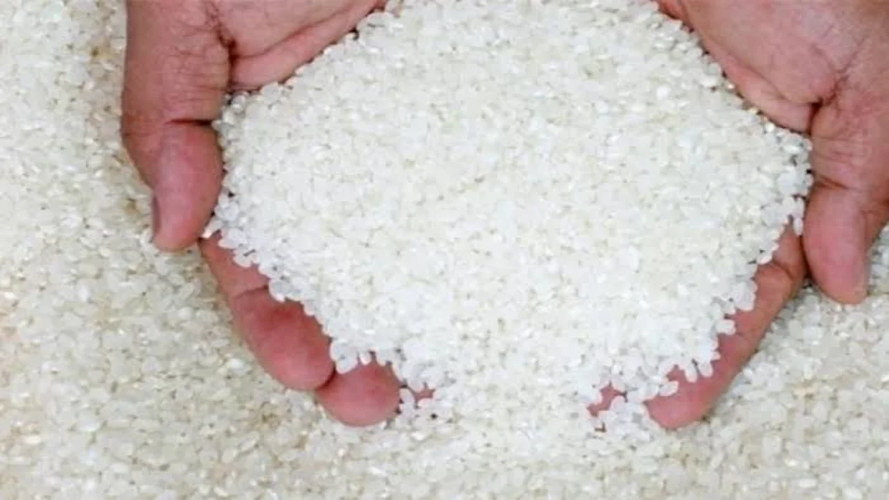 سعر طن الأرز الشعير اليوم الأربعاء 26 فبراير 2025