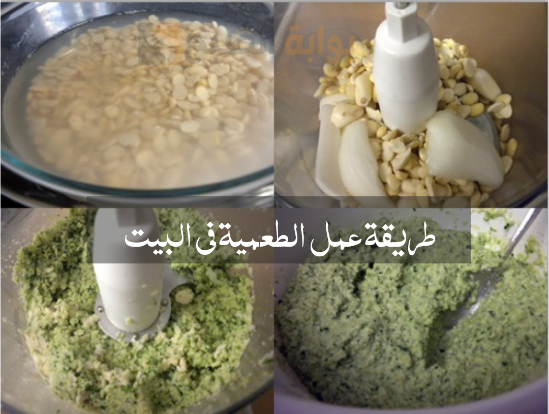طريقة عمل الطعمية في البيت 