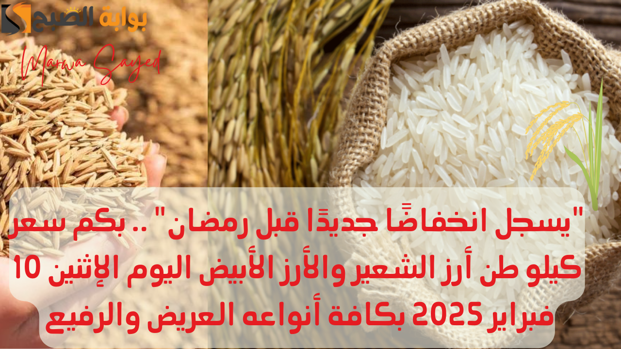 أرز الشعير في مصر
