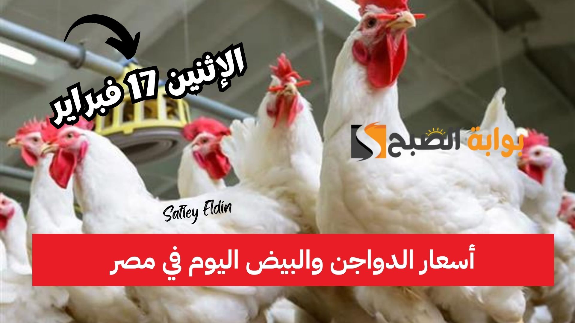 أسعار الدواجن والبيض اليوم في مصر الإثنين 17 فبراير 2025