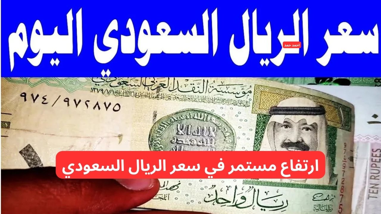 ارتفاع سعر الريال السعودي مقابل الجنيه المصري اليوم الخميس 13-2-2025