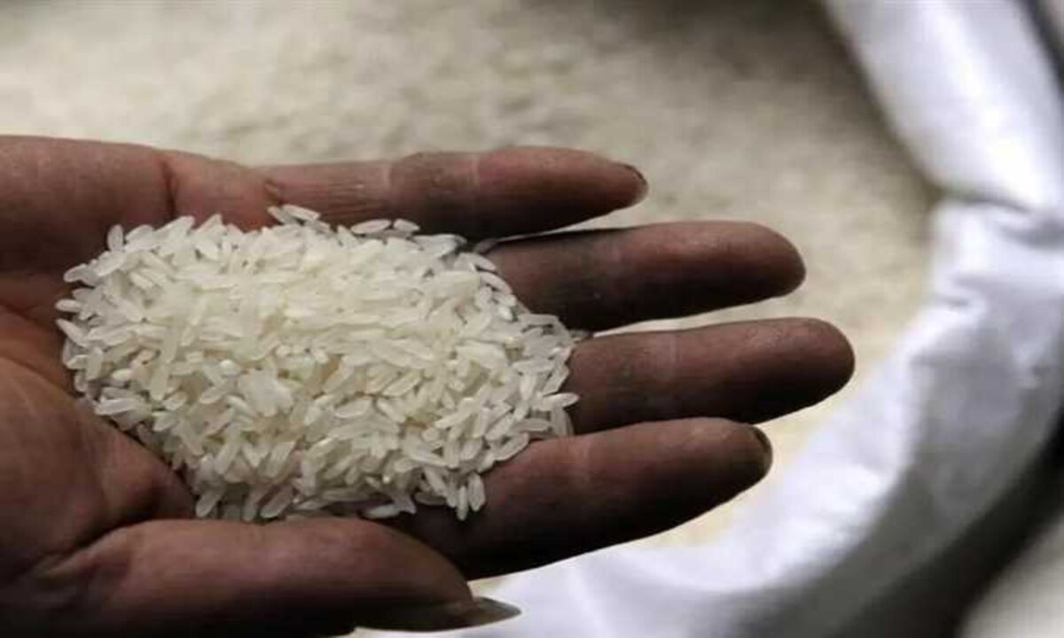 مفاجأة غير متوقعة في سعر طن الأرز الشعير اليوم الجمعة سابع يوم رمضان