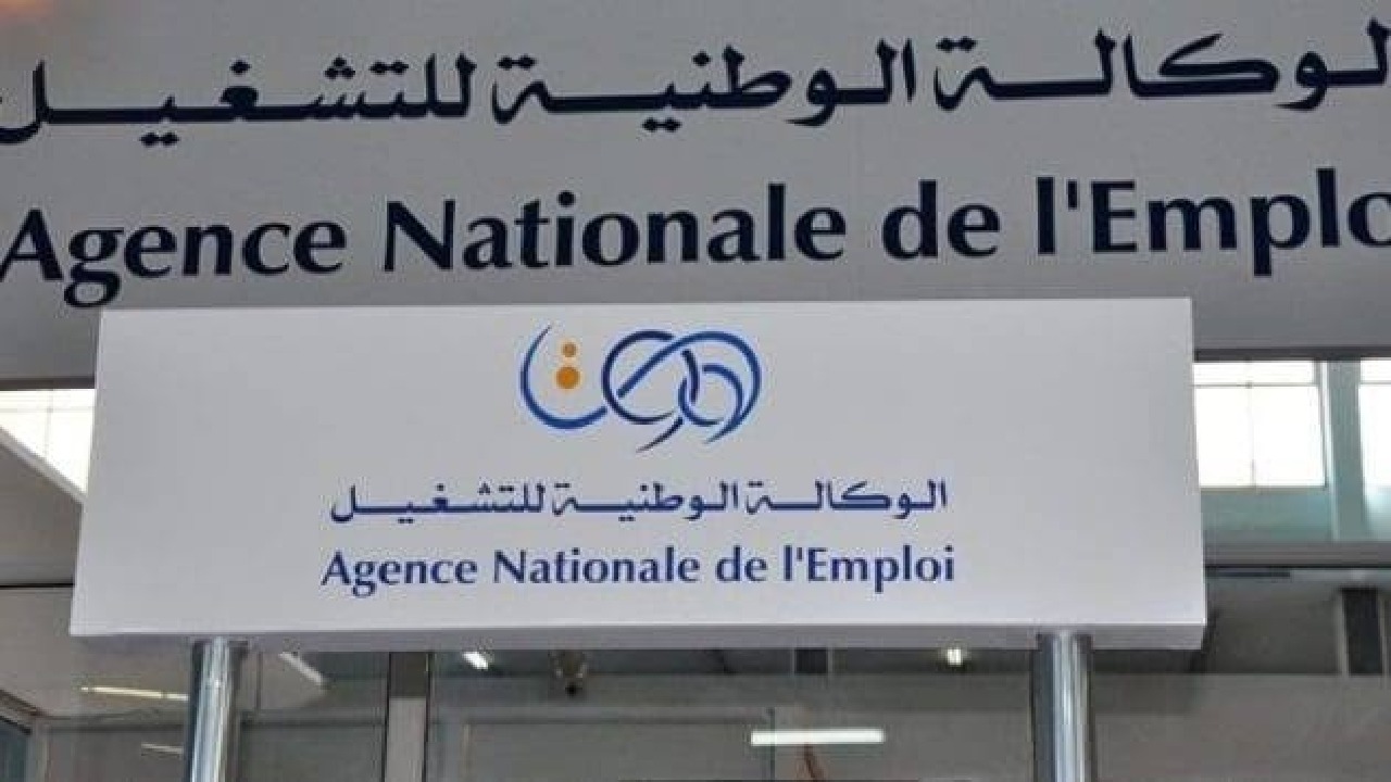 الوكالة الوطنية للتشغيل.. رابط التسجيل في منحة المرأة الماكثة بالبيت 2025 وأهم الشروط