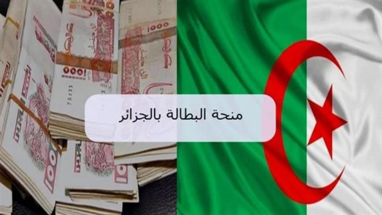تجديد منحة البطالة الجزائر 2025