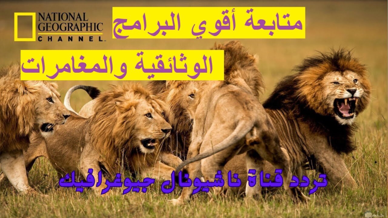 تردد قناة ناشيونال جيوغرافيك 2025