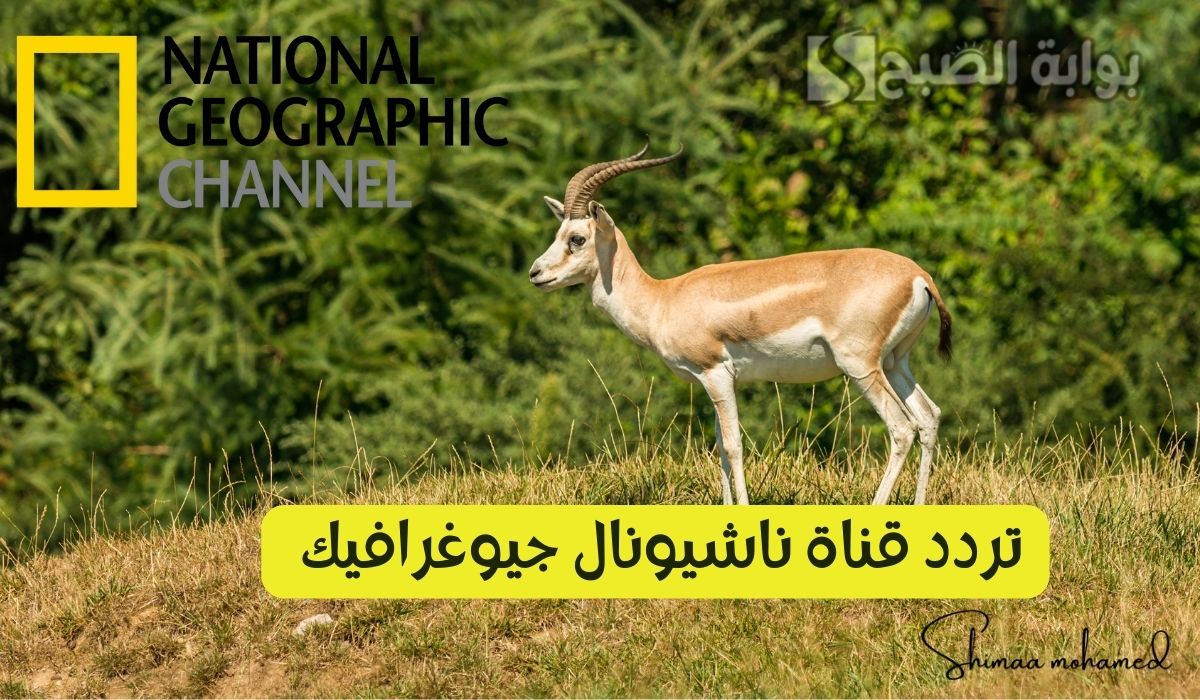 تردد قناة ناشيونال جيوغرافيك أبو ظبي