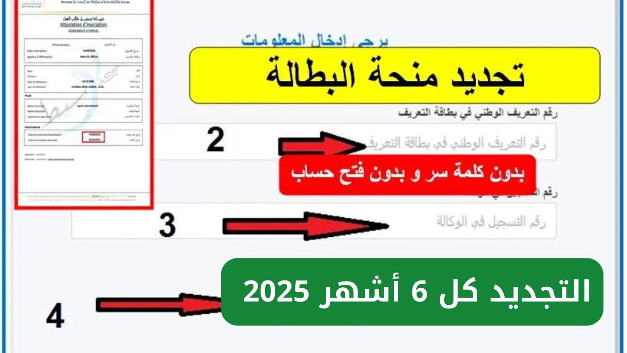 رابط تجديد منحة البطالة في الجزائر 2025