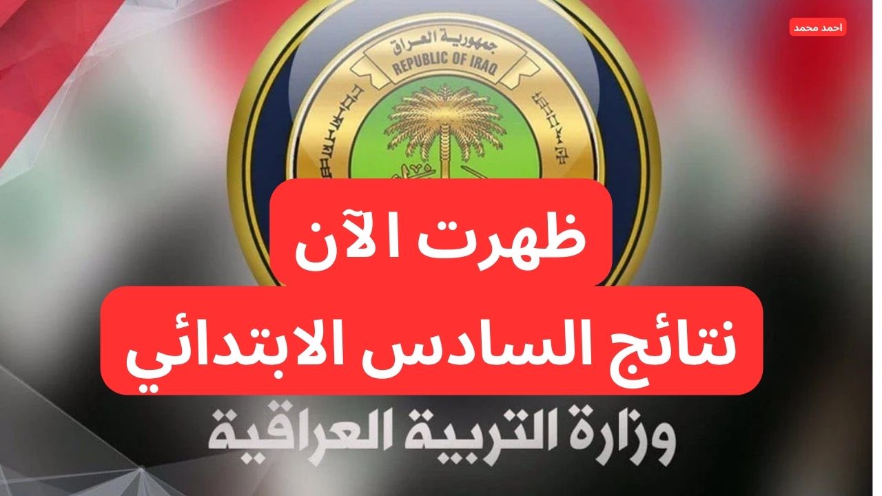 رابط تحميل نتائج التمهيدي 2025 سادس ابتدائي pdf موقع نتائجنا