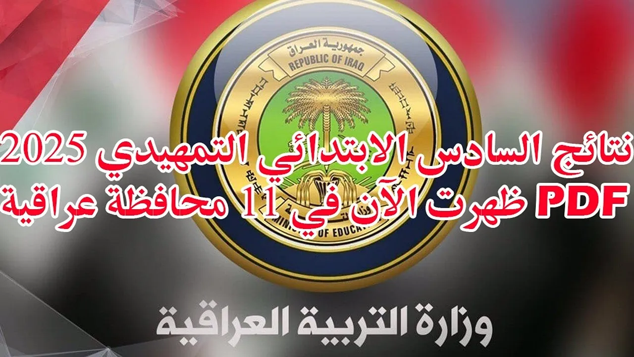 رابط مفعل.. نتائج السادس الابتدائي التمهيدي 2025 نزلها PDF في 11 محافظة عراقية بعد ظهورها رسميًا