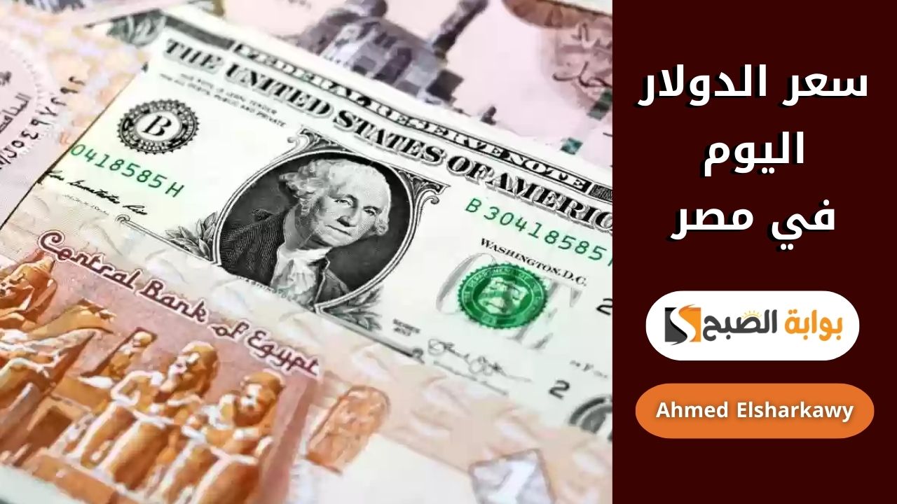 سعر الدولار اليوم في مصر