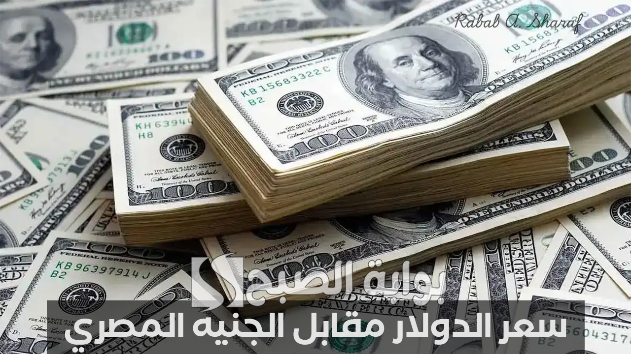 سعر الدولار مقابل الجنيه المصري