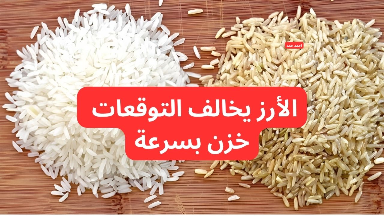 سعر طن الأرز الشعير اليوم الخميس 12-2-2025 والأبيض