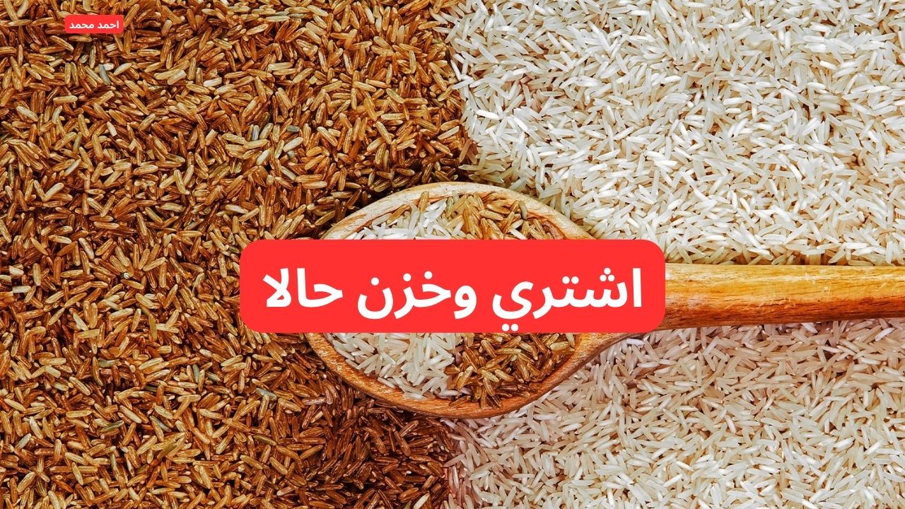سعر طن الأرز الشعير اليوم الخميس والأبيض 5-2-2025 العريضة والرفيعة