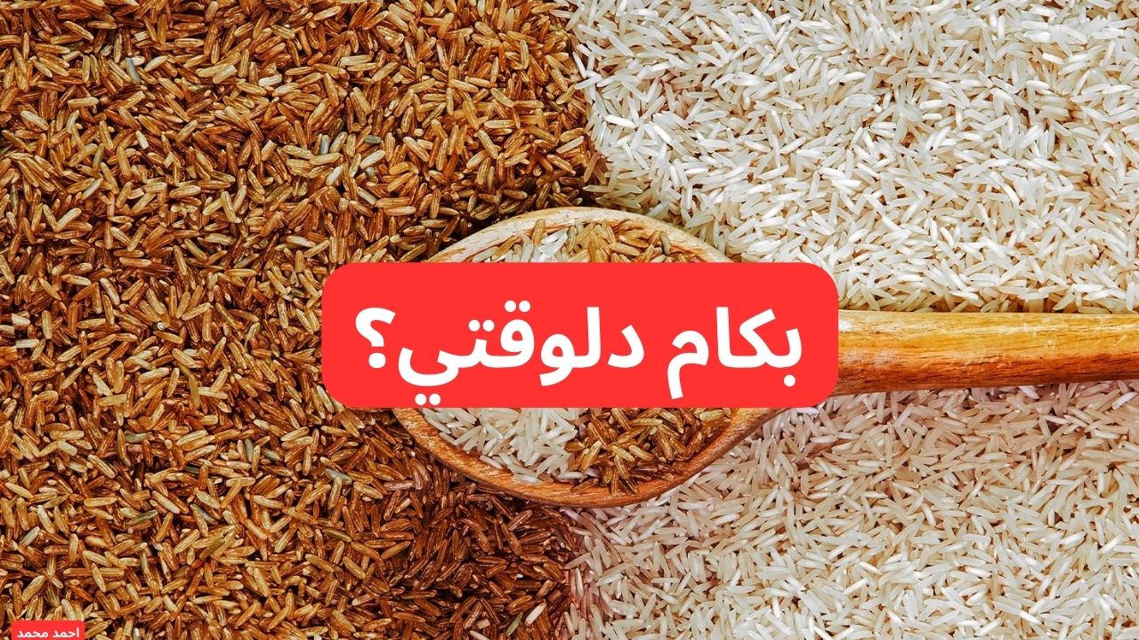 سعر طن الأرز الشعير اليوم السبت بعد اخر انخفاض