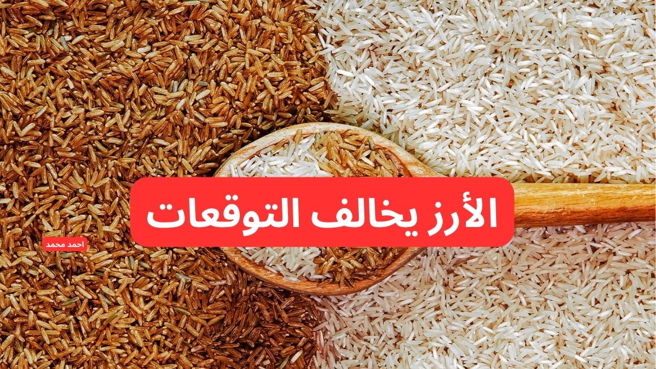 سعر طن الارز الشعير اليوم الجمعة 28 فبراير 2025 والأبيض