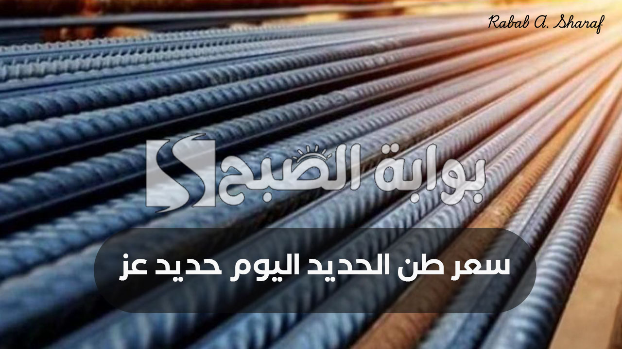 سعر طن الحديد اليوم حديد عز