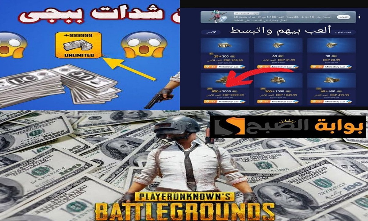 شحن شدات ببجي بالايدي