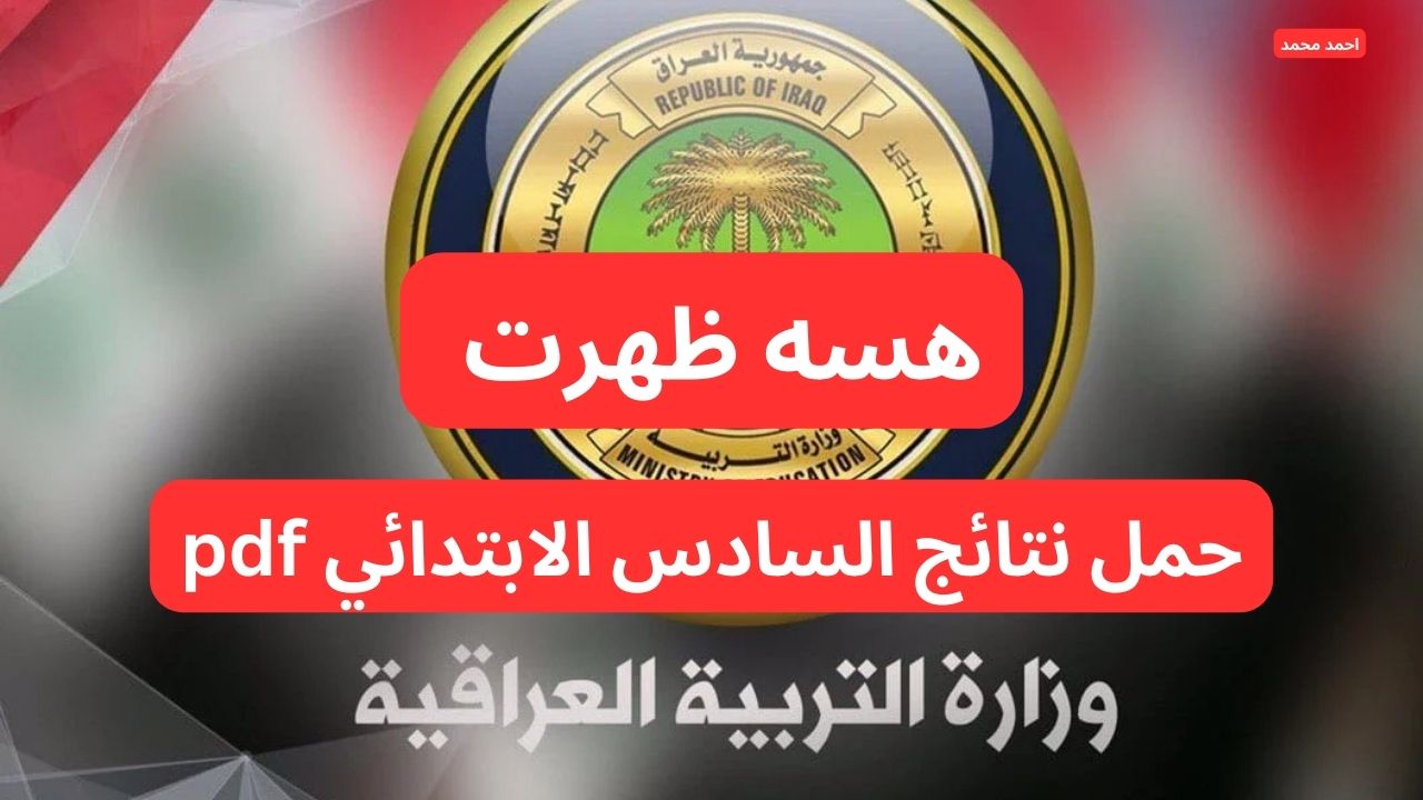طريقة استخراج نتائج السادس الابتدائي التمهيدي 2025 عبر موقع نتائجنا www.nataegna.net