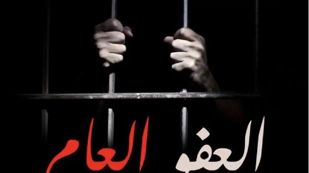 قانون العفو العام